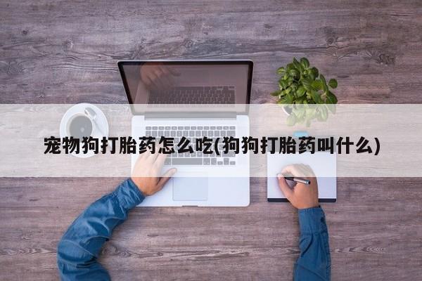 打胎药/堕胎药专卖微信宠物狗打胎药怎么吃(狗狗打胎药叫什么)