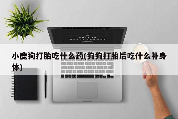 打胎药/堕胎药专卖微信小鹿狗打胎吃什么药(狗狗打胎后吃什么补身体)
