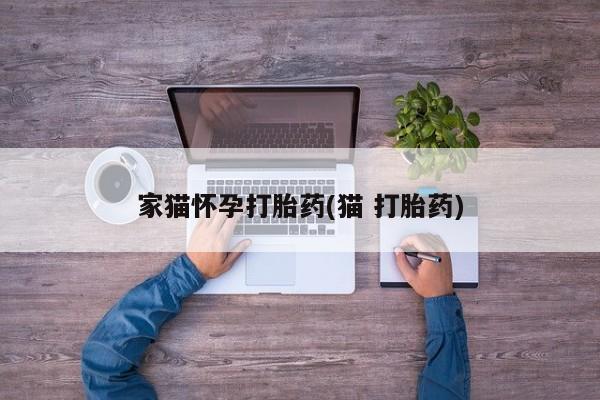 打胎药/堕胎药专卖微信家猫怀孕打胎药(猫 打胎药)