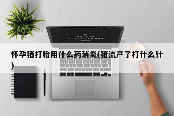 打胎药/堕胎药专卖微信怀孕猪打胎用什么药消炎(猪流产了打什么针)